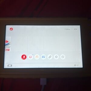 Nintendo Lite Switch